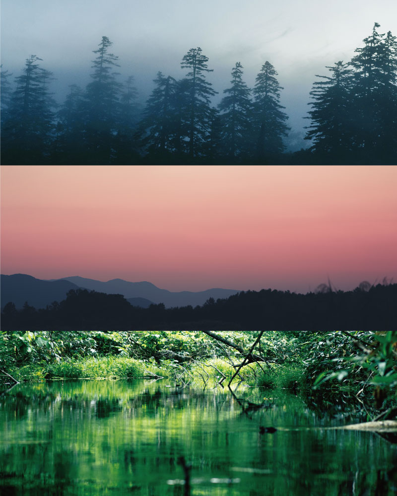 ルピシアブルワリー：ラインアップ