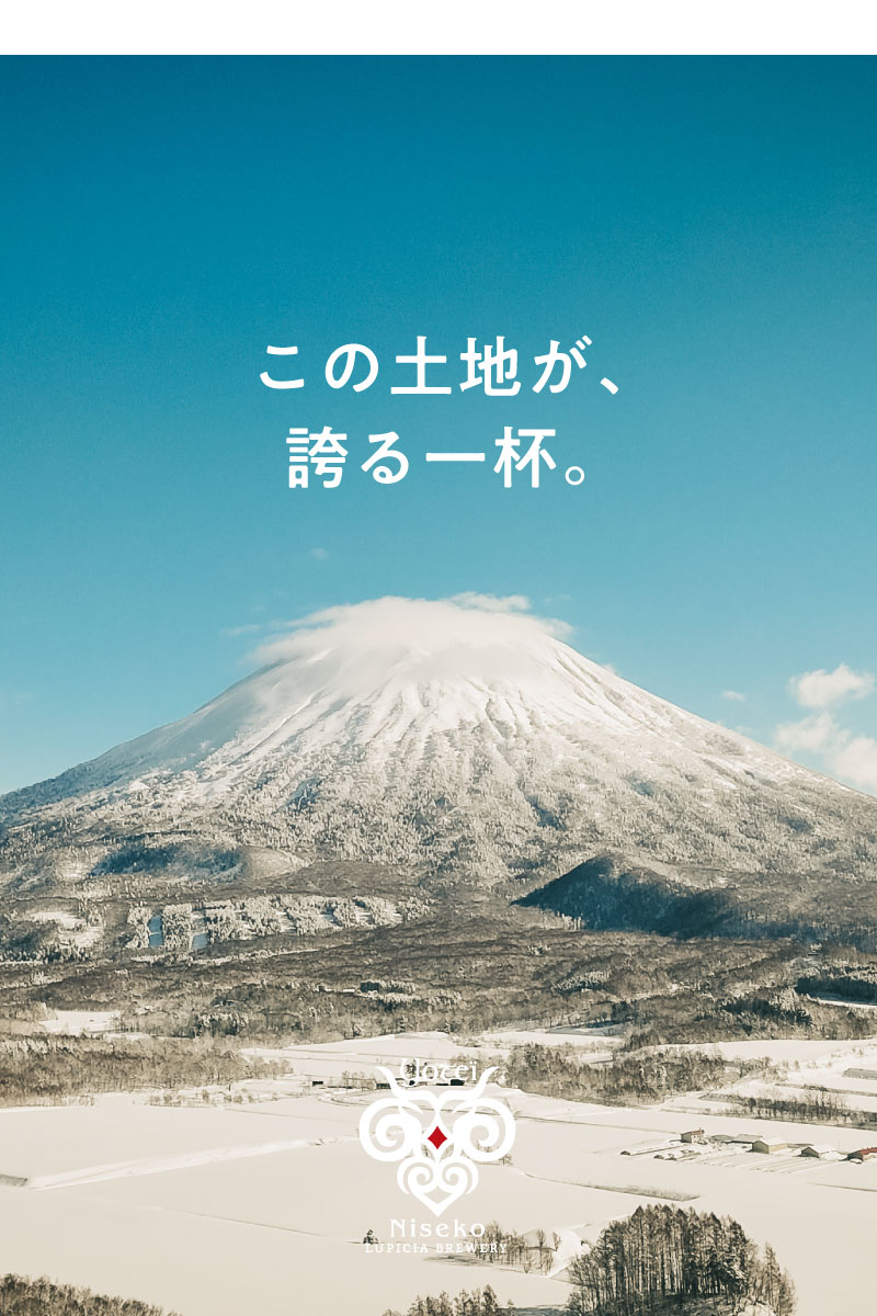 羊蹄山麓ビール「この土地が、誇る一杯。」